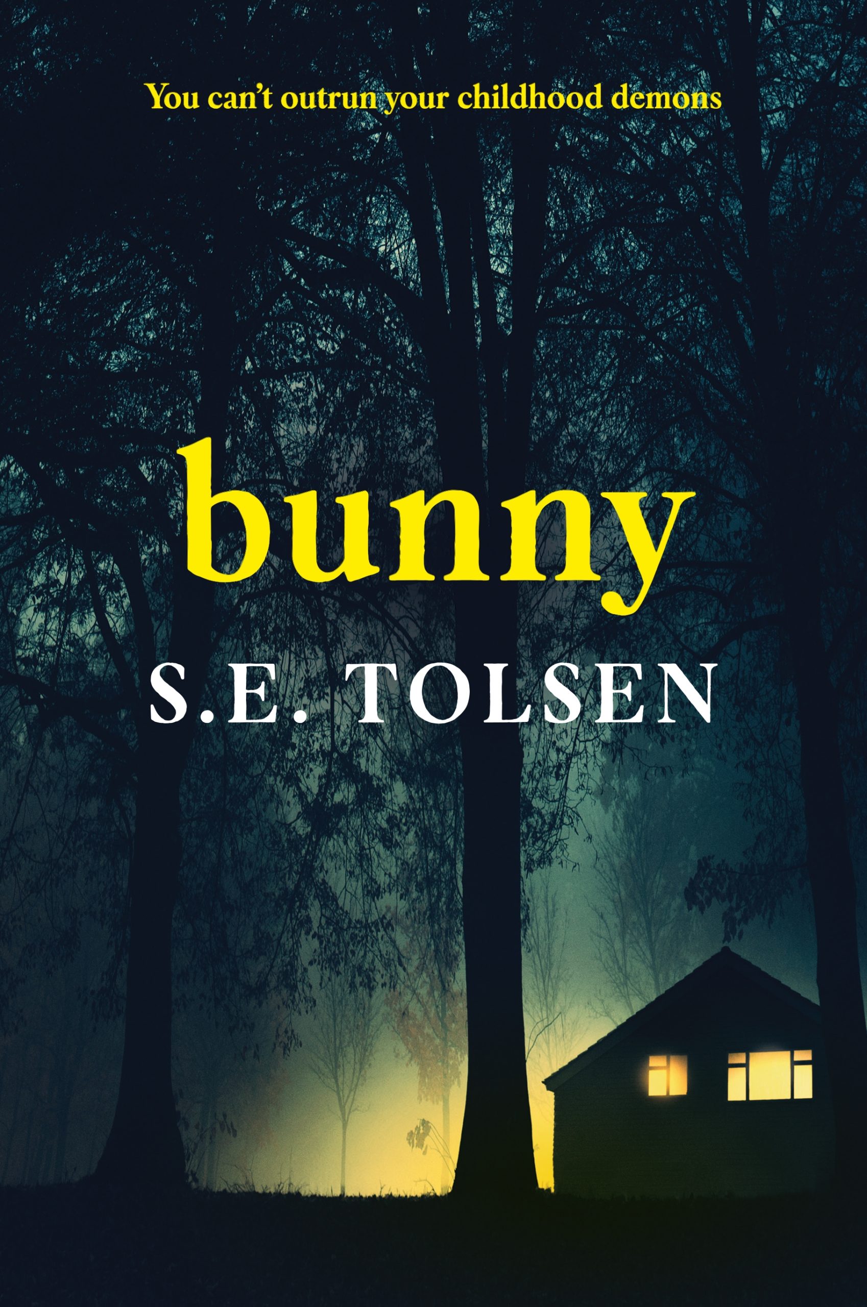 book cover text reads bunny s.e.  tolsen